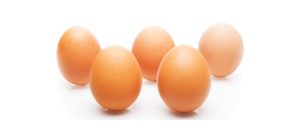 egg