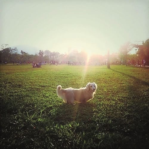 Gambar: Koleksi Instagram Tony Eusoff