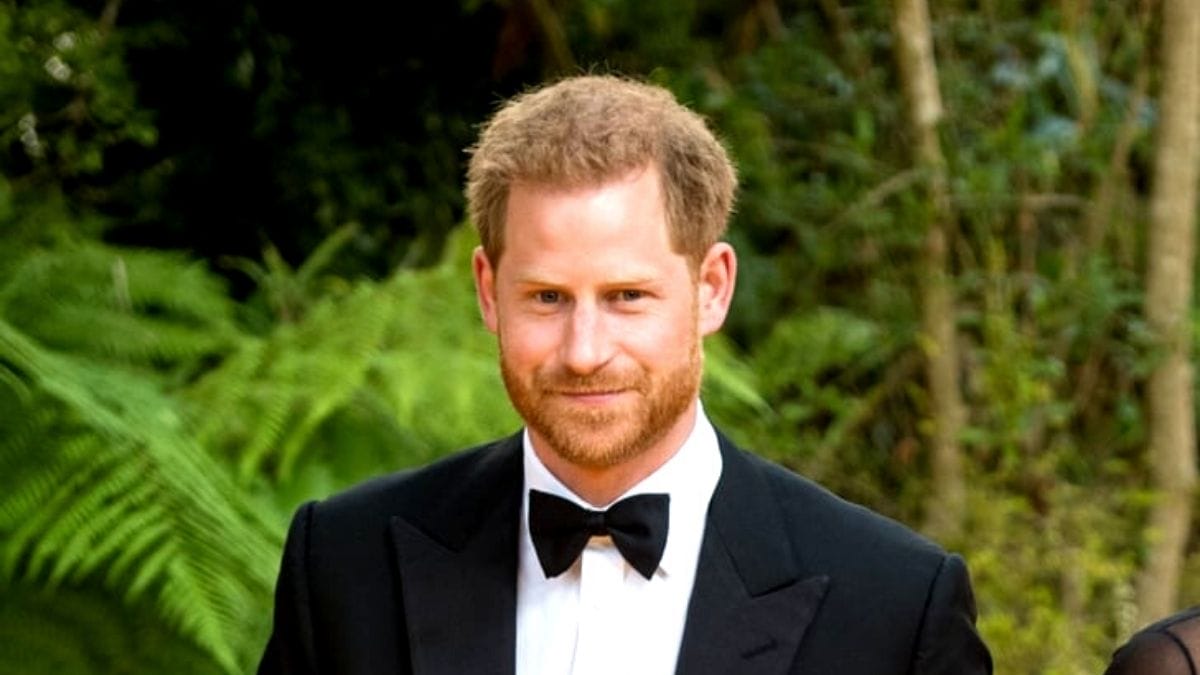 ALASAN MENGAPA PUTERA HARRY MENUNDA PELANCARAN MEMOIR