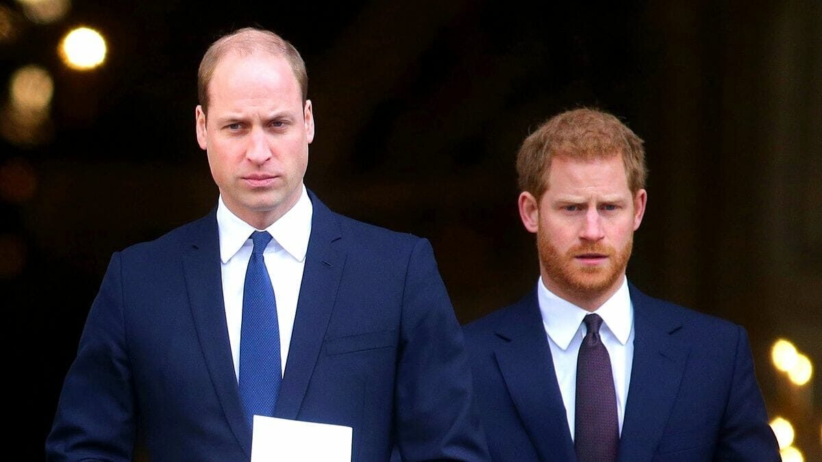 HARAPAN PEMINAT UNTUK MELIHAT PUTERA WILLIAM & PUTERA HARRY BERDAMAI KINI MUSNAH?