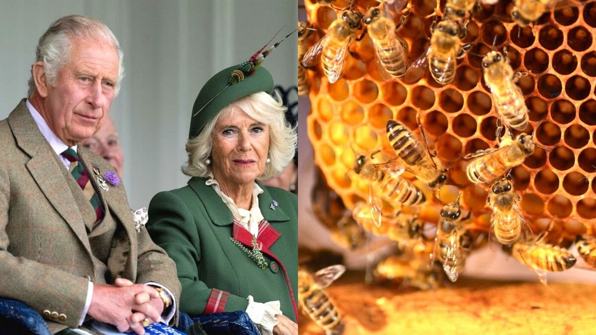 5 RAHSIA PENJAGAAN DIRI KERABAT DIRAJA BRITAIN