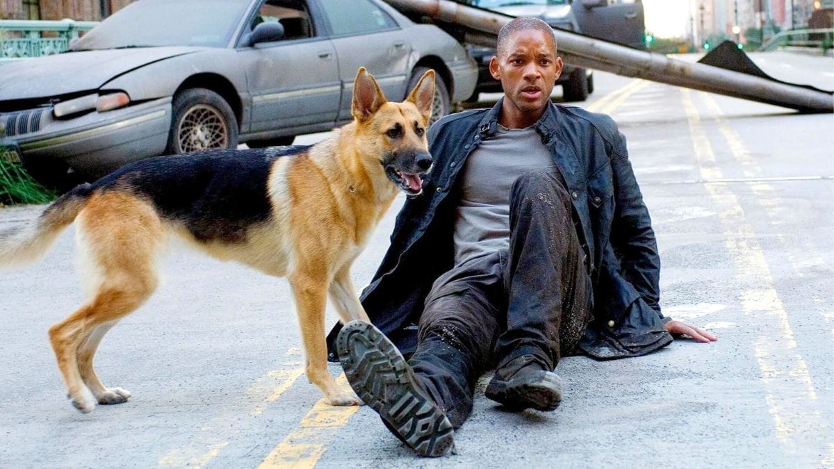 WILL SMITH SAHKAN BAKAL KEMBALI DENGAN I AM LEGEND 2