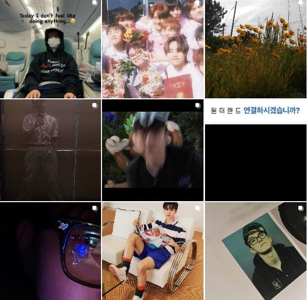 feed instagram