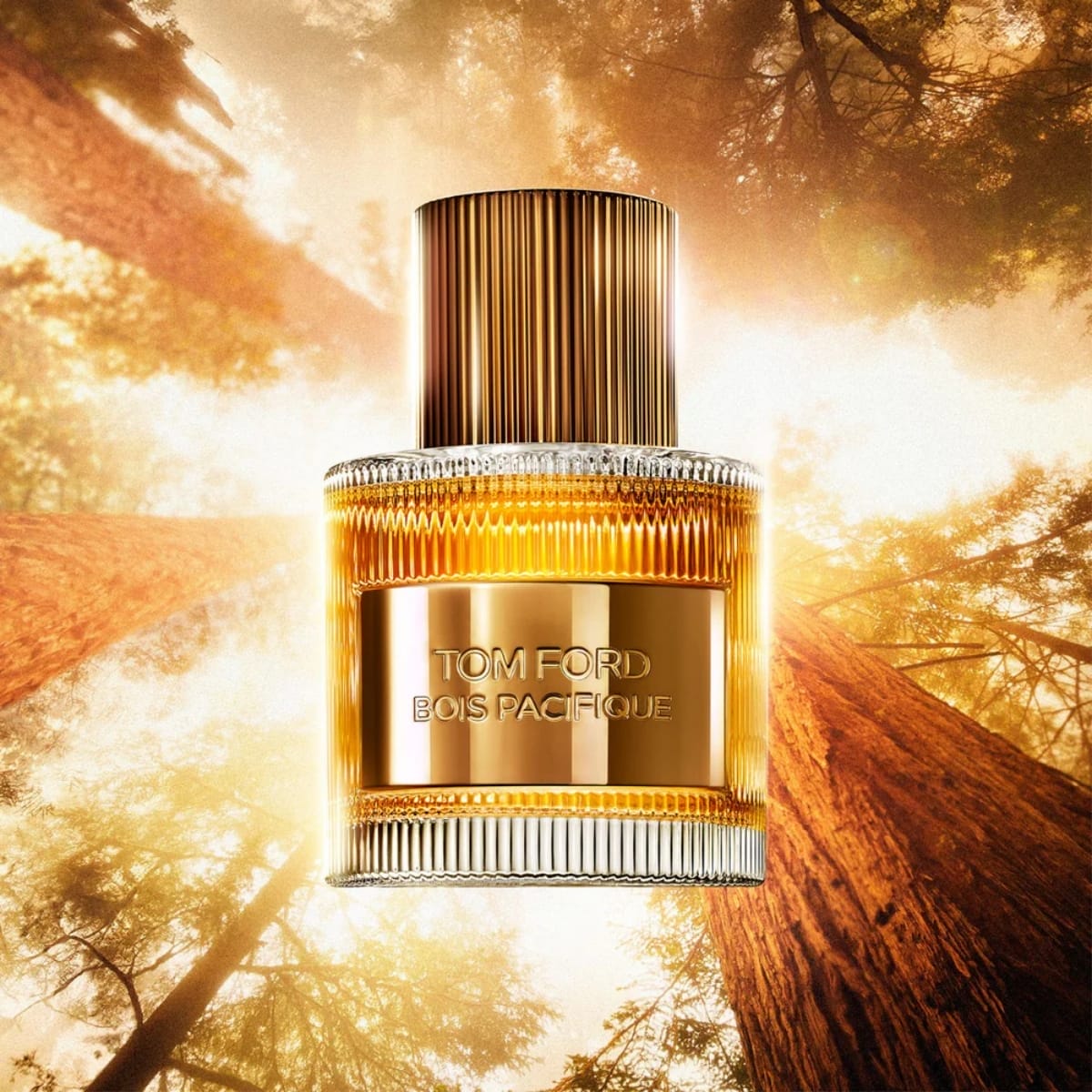 niche perfume fresh untuk lelaki