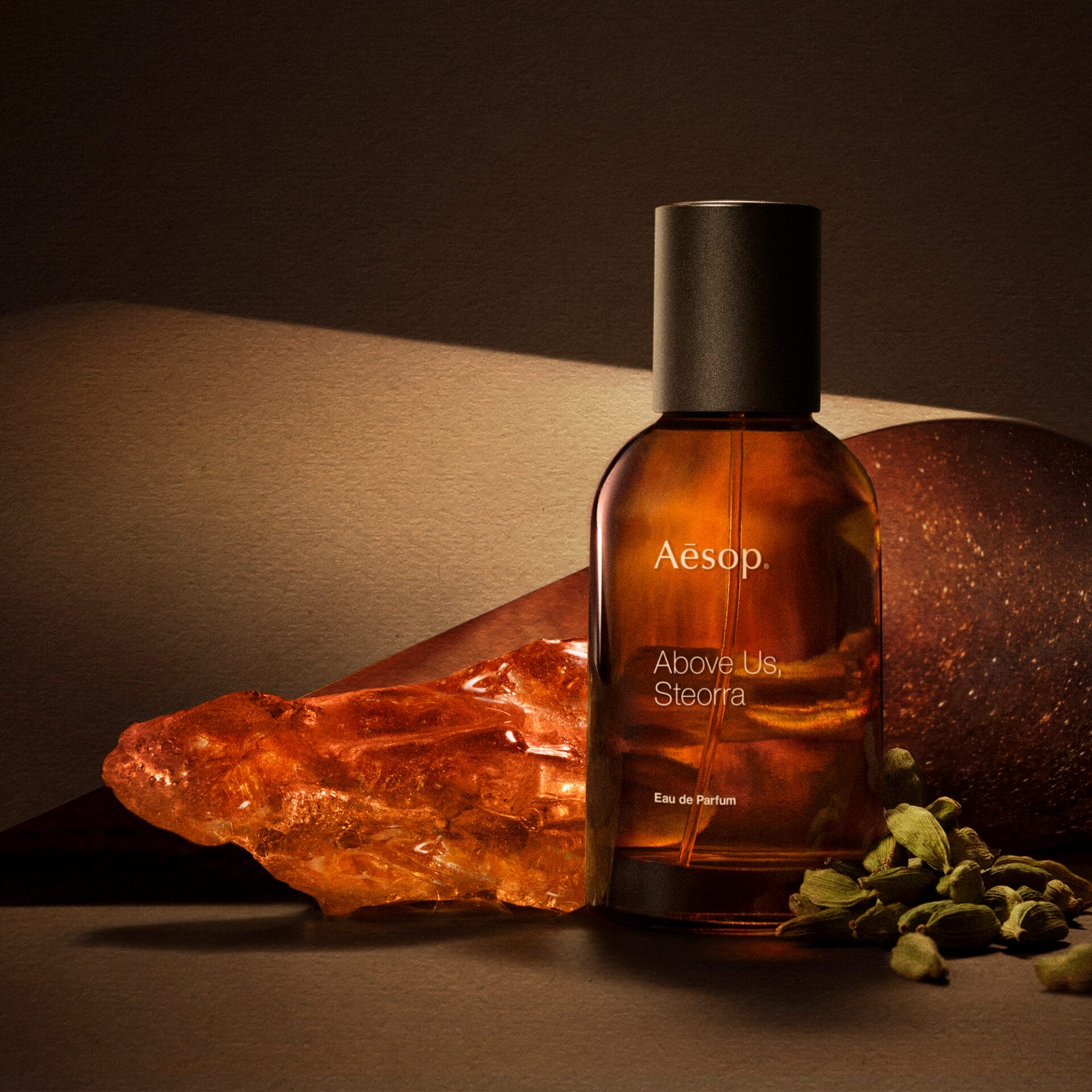 Aesop grooming lelaki