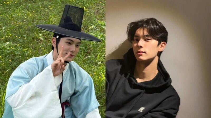 KENALI LEE CHAE-MIN, RAJA KACAK DALAM DRAMA BON APPÉTIT, YOUR MAJESTY