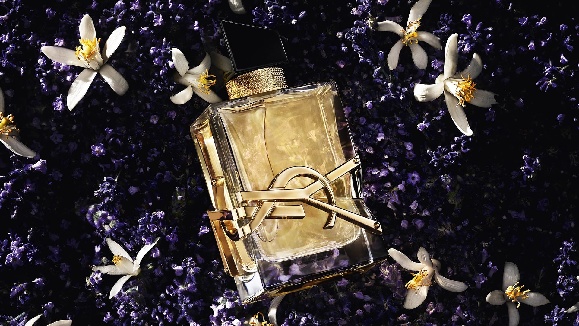 YSL LIBRE Vanille Couture