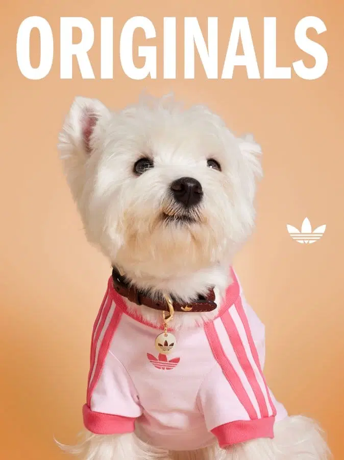 adidas originals haiwan